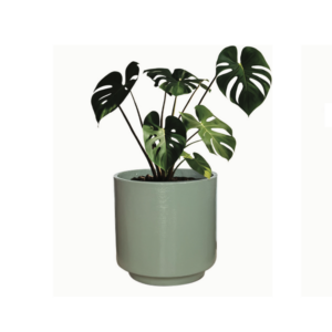Pot Oslo