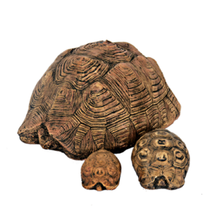 Decorative Tortoise Ornament